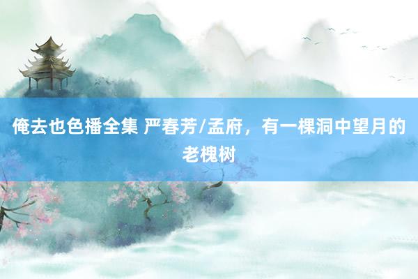 俺去也色播全集 严春芳/孟府，有一棵洞中望月的老槐树