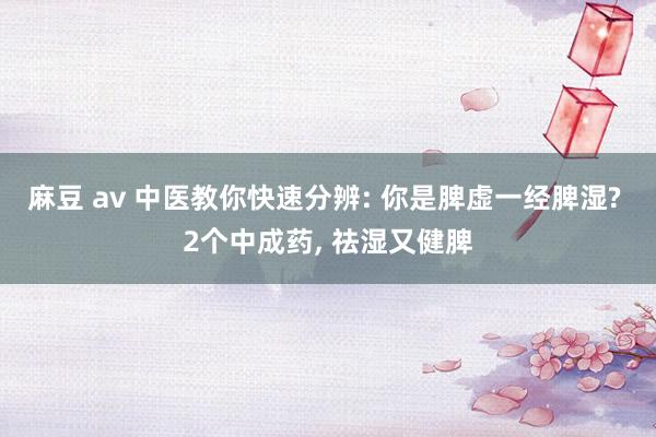 麻豆 av 中医教你快速分辨: 你是脾虚一经脾湿? 2个中成药， 祛湿又健脾